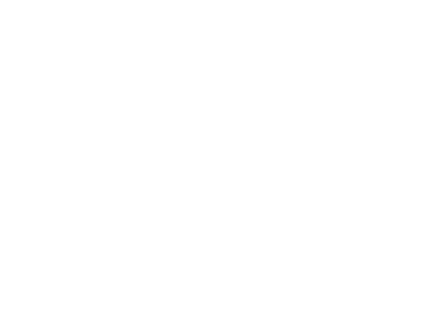 AH Endurance Team