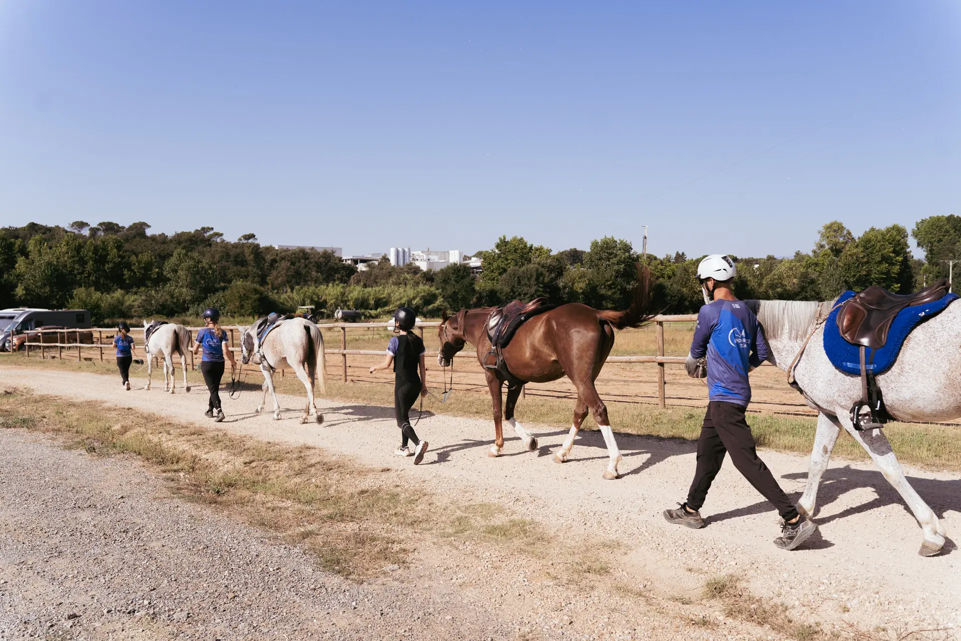 El equipo saca los caballos a entrenar al amanecer en Girona