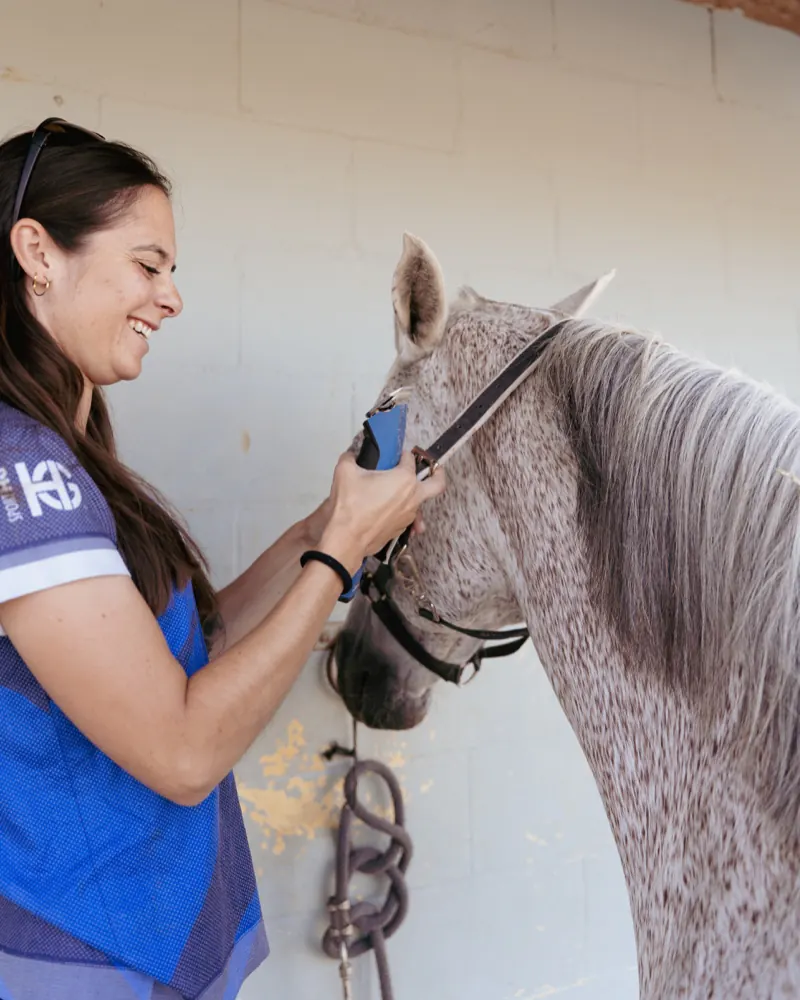 Centaure du Ruisseau, Kentsu, FEI endurance gelding