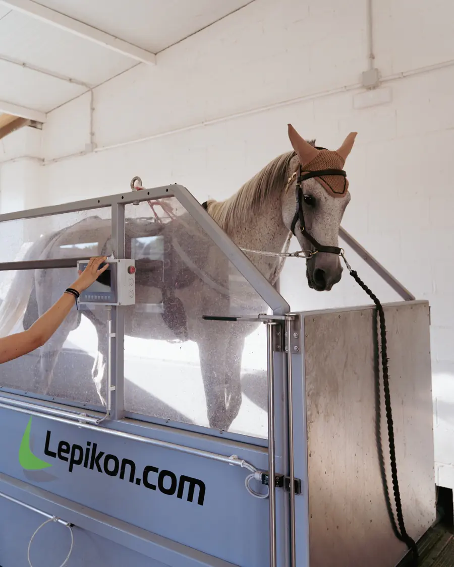 Horse working inside the Lepikon water treadmill at AH Endurance Team